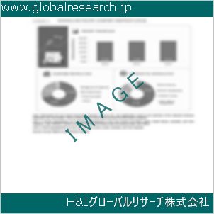 グローバルリサーチ調査資料のイメージ